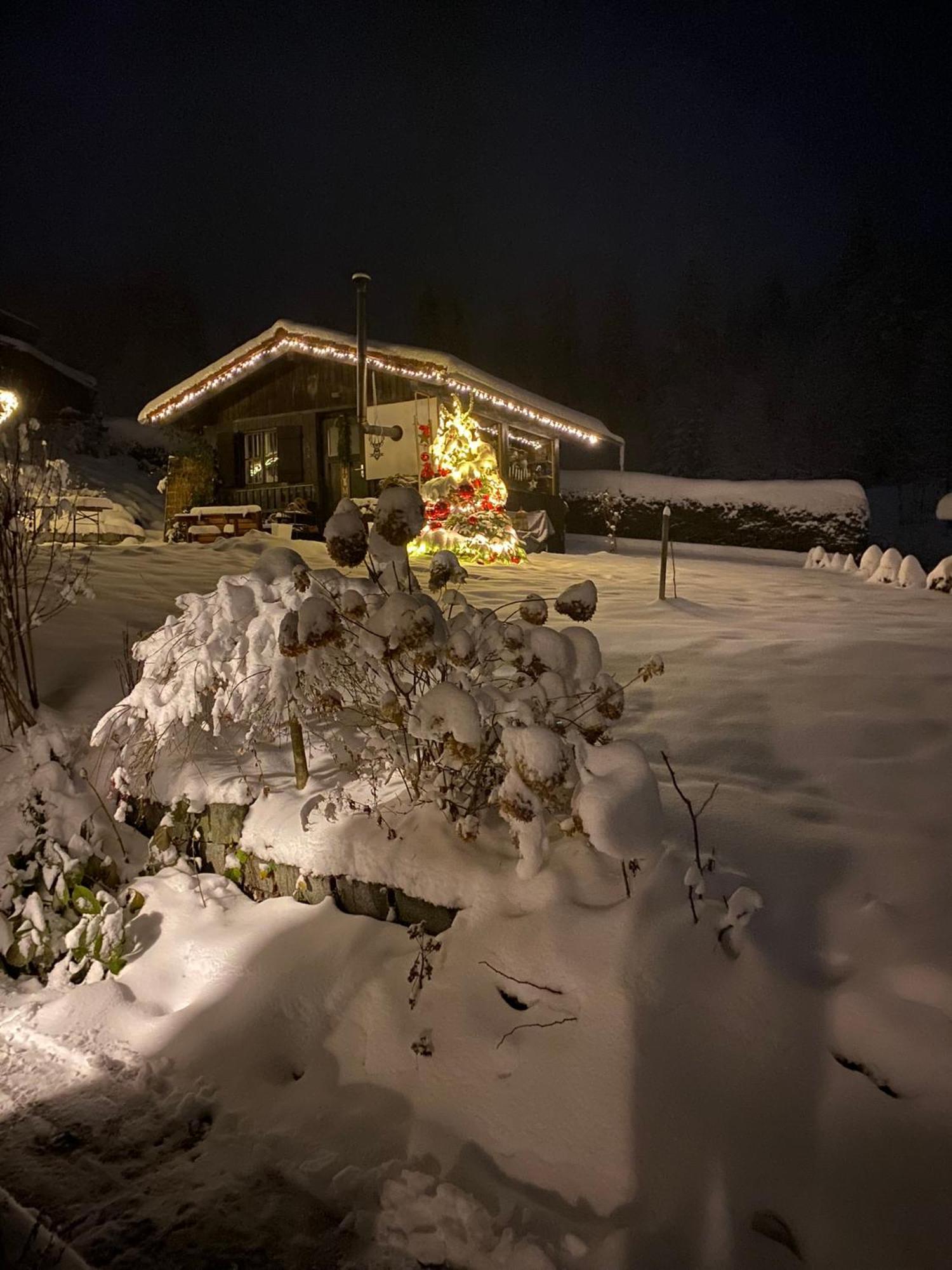 Das Alte Forsthaus Spiegelhuette Lindberg المظهر الخارجي الصورة