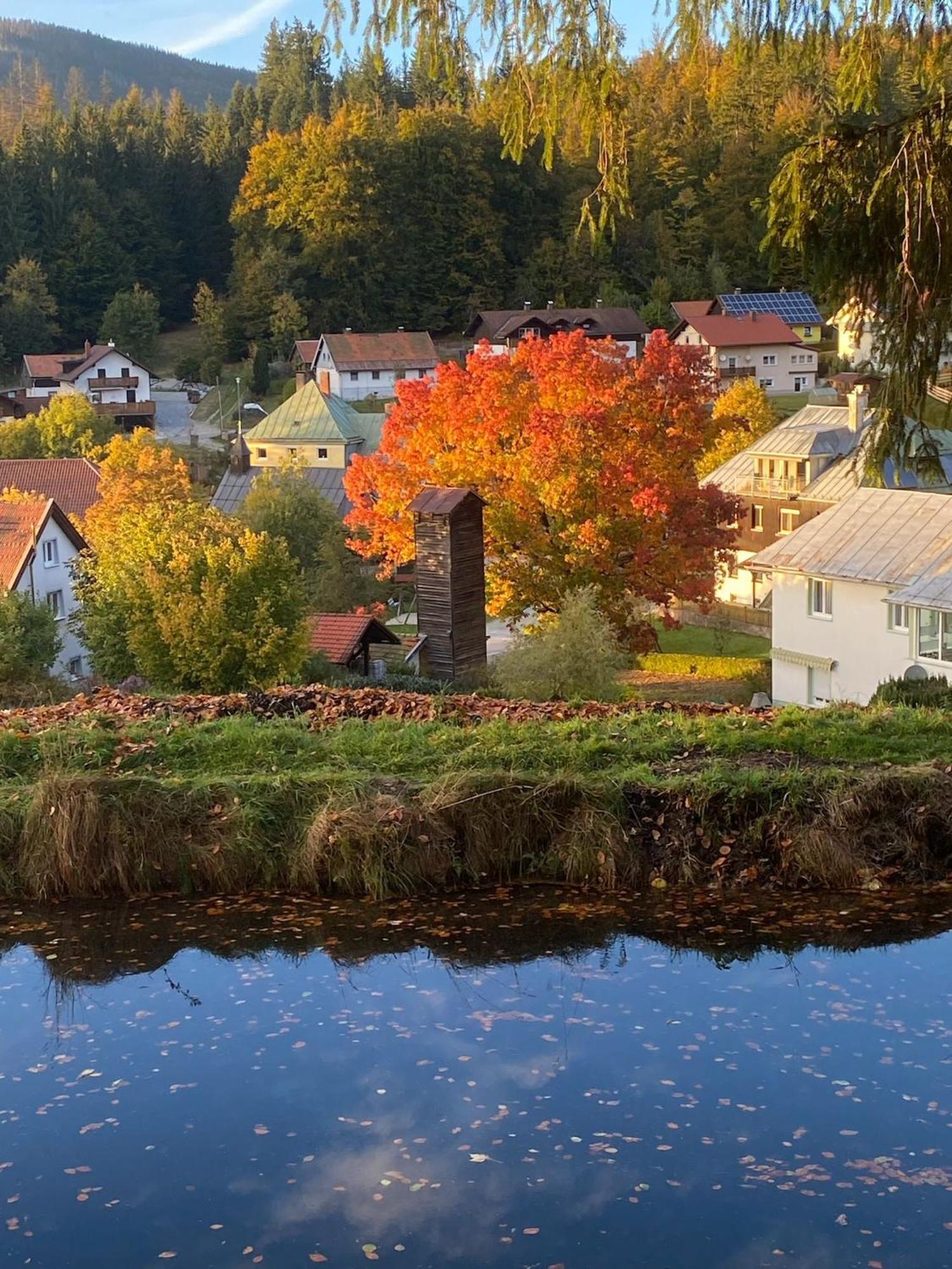 Das Alte Forsthaus Spiegelhuette Lindberg المظهر الخارجي الصورة