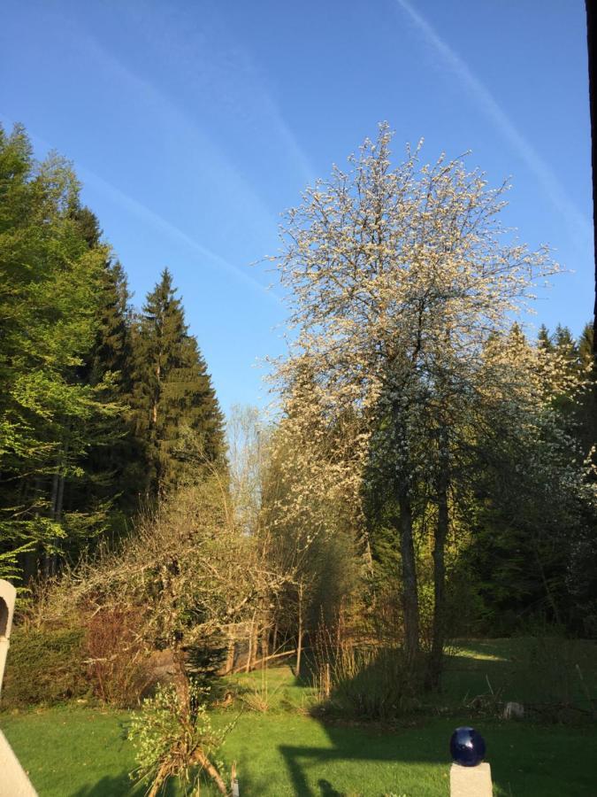 Das Alte Forsthaus Spiegelhuette Lindberg المظهر الخارجي الصورة